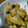 t375's cooksnap of when they made かぼちゃのチーズ焼き.