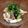 ハリボ2016's cooksnap of when they made いかとキュウリの梅味噌和え.