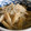 ayureo's cooksnap of when they made 筍としらすの煮物.