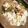クック0GK1PC☆'s cooksnap of when they made レンジで簡単！ おくらととうふの卵蒸し.