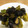 クック1RD165☆'s cooksnap of when they made 簡単！なすとピーマンのさっぱり炒め.