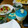 たるたるmama's cooksnap of when they made 涼しげ七夕ゼリー.