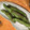 ルナＰボール's cooksnap of when they made 空豆そのまま焼き.