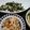 tamakichi5's cooksnap of when they made シメジとホウレン草の和え物.