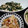 tamakichi5's cooksnap of when they made シメジとホウレン草の和え物.