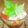 coyoyoc's cooksnap of when they made トマトのカクテルサラダ♪.