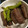 ルナＰボール's cooksnap of when they made こんにゃくとししとうの炒め物.