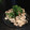 backenKuchen's cooksnap of when they made 豚コマ肉のさっぱり梅炒め.