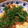 ゆここ♪'s cooksnap of when they made ささみをしっとり〜簡単！梅しそ焼き.