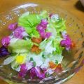 うちの子カエル's cooksnap of when they made 生ハムとエディブルフラワーのサラダ.