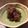 四児のハハ's cooksnap of when they made 抹茶豆乳プリン.