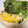 柴犬ころ's cooksnap of when they made ほうれん草ときのこのオムレツ.