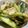 低カロ探検隊's cooksnap of when they made 鶏肉とキクラゲ、胡瓜の炒め物.