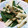 ﾁｮﾎﾞﾋﾟ's cooksnap of when they made 長芋オクラの塩麹炒め＊.