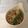 ナピト's cooksnap of when they made 里芋のごまみそツナ和え.