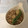 ナピト's cooksnap of when they made 里芋のごまみそツナ和え.