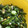 クック7KG38C☆'s cooksnap of when they made オクラとモロヘイヤのねばねばサラダ.