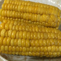 minao2318's cooksnap of when they made 甘さ炸裂☆とうもろこしの美味しい茹で方.