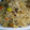 sinoママ's cooksnap of when they made 夏にオススメ！枝豆の炊き込みご飯.