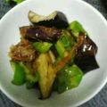 ヨシヨッシー's cooksnap of when they made なすとピーマンの焼きびたし.