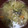 クックBBOWAQ☆'s cooksnap of when they made たっぷり野菜のまろやかみそ汁.