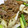 Rick_t's cooksnap of when they made 牛肉と野菜のオイスター炒め　簡単.