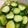 あーちゃん＊°'s cooksnap of when they made 簡単！好きな野菜でピクルス.