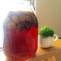 ★hanamama★'s cooksnap of when they made 芋焼酎で仕込む梅酒.