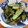 i_yokan's cooksnap of when they made 簡単✨キュウリのさっぱり浅漬け✨.