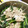 クック6DZPFU☆'s cooksnap of when they made 簡単★もやしと豚バラ蒸し.
