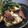 ☆なんてん☆'s cooksnap of when they made ☆万能ごまドレッシング☆（ノンオイル）.