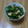 えそちゃん。's cooksnap of when they made ☆お弁当☆ササミとピーマンの炒め物❤️.