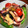 ＊・ヒロ・＊'s cooksnap of when they made イカとトマトとスナップえんどう炒め.