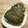 赤い電話's cooksnap of when they made 焼肉のタレで簡単焼きおにぎり.
