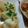 ﾁﾋﾞｽﾞまま♡'s cooksnap of when they made 簡単☆揚げだし豆腐.