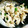 sknstr's cooksnap of when they made 簡単おつまみササミ.