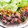 xxtamayoxx's cooksnap of when they made サワラの竜田揚げ＊梅じそおろし添え＊.