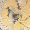 ☆yopipi's cooksnap of when they made 餃子の皮であんこ餅風.