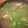 20070825's cooksnap of when they made コハク酸の滲み出たあさり味噌汁。.