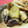 ろばころ's cooksnap of when they made なすびとちくわの炒め煮.