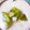 horseland's cooksnap of when they made ヨーグルトにはキウイ♪.