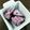 ∞mariebell's cooksnap of when they made ブルーベリー✿フローズンヨーグルト.