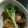 ちかほの's cooksnap of when they made ◆　鯖と茄子の南蛮　◆.
