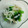 みなみ29's cooksnap of when they made 簡単一品★小松菜えのきのさっぱり和え.