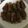 のんぴー♡'s cooksnap of when they made ポン酢でさっぱり簡単舞茸の肉巻きお弁当も.