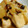 vignemale's cooksnap of when they made ■豚肉ときのこのレモンバター照り焼き■.