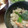 友莉子's cooksnap of when they made きのこの　炊き込みご飯　炊飯器でＯＫ.