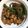 makmo5's cooksnap of when they made 豚肉とインゲンの味噌炒め.