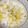 ベリーゆき's cooksnap of when they made 簡単、美味☆生とうもろこしの炊き込みご飯.