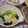 もりあん農園's cooksnap of when they made 白菜と油揚げの煮物.